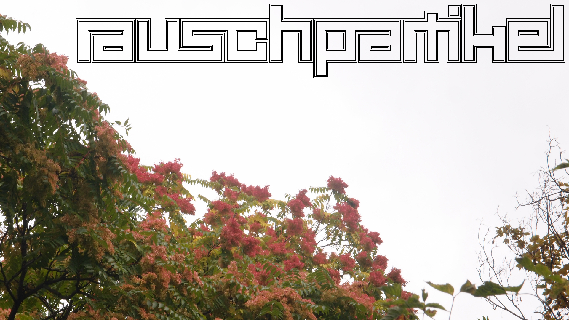 2021-08-29 Das Kleine Regen Rhythmus Orchester spielt 'autonome Beats' (Spiegel)